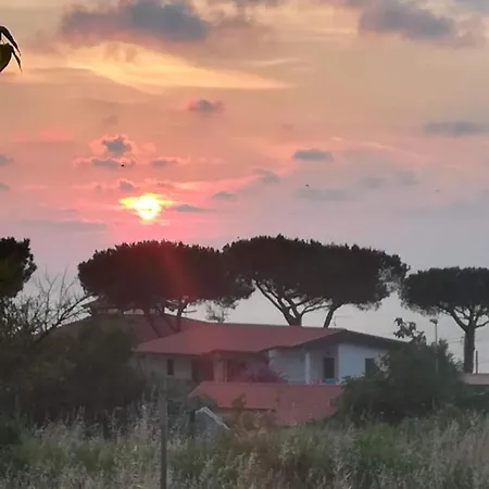 Vicino Al Mare Hébergement de vacances Parghelia