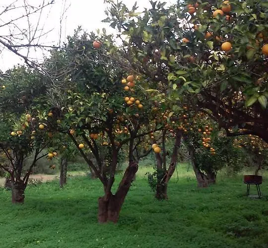 Vicino Al Mare בית נופש *